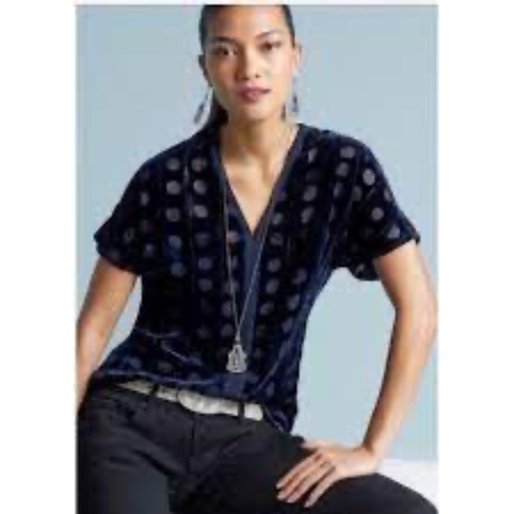 CAbi #3507 Spot On Velvet V Neck Tunic Medium